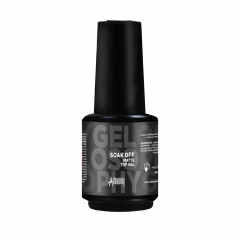 Astonishing Gelosophy Soak Off Matte Top Gel 15 ml