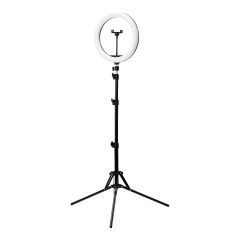 Glow 13" Ringlampe mit Stativ 10W 