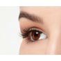 Ardell Multipack - Demi Wispies