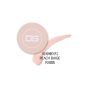 DGEL JINI Painting Gel PJ.005 Peach Beige 3 g