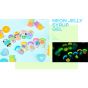 DGEL Neon Jelly Syrup Gel Collection