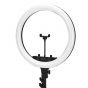 Glow 18" RGB Ringlampe mit Stativ 45W 