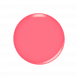 Kiara Sky Dip Powder Trophy Wife 28 g